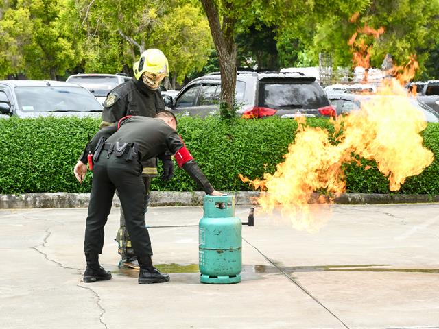32.JPG